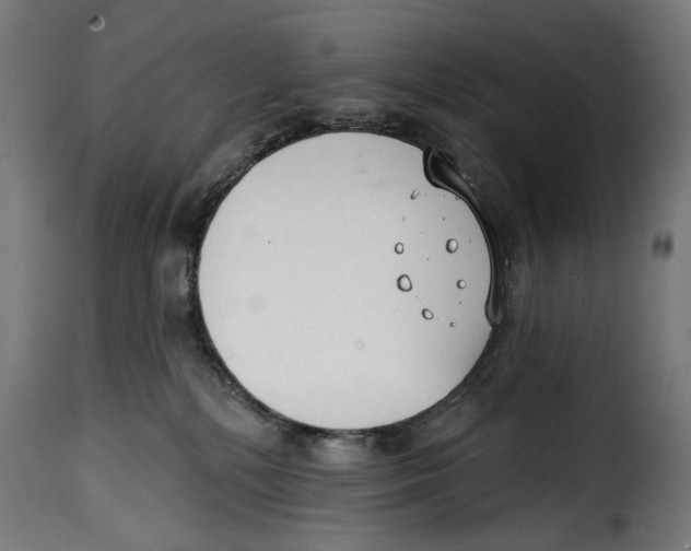 X0000114990232200911231148