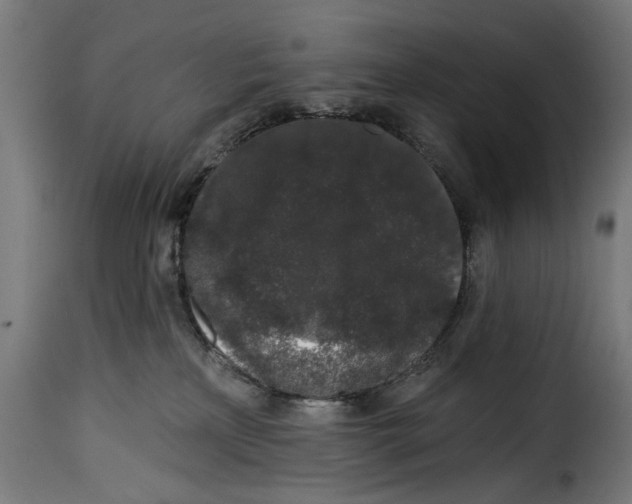 X0000114990233200911231148