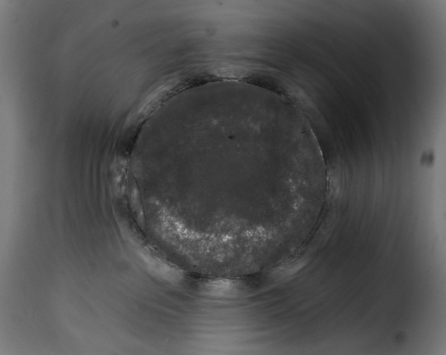 X0000114990237200911231148