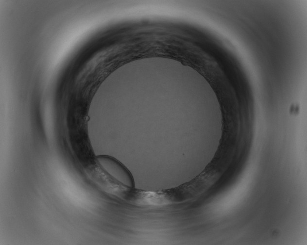 X0000114990239200911231148