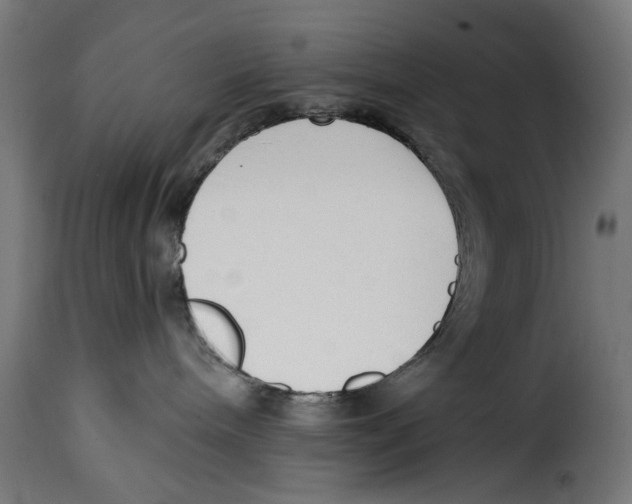 X0000114990240200911231148