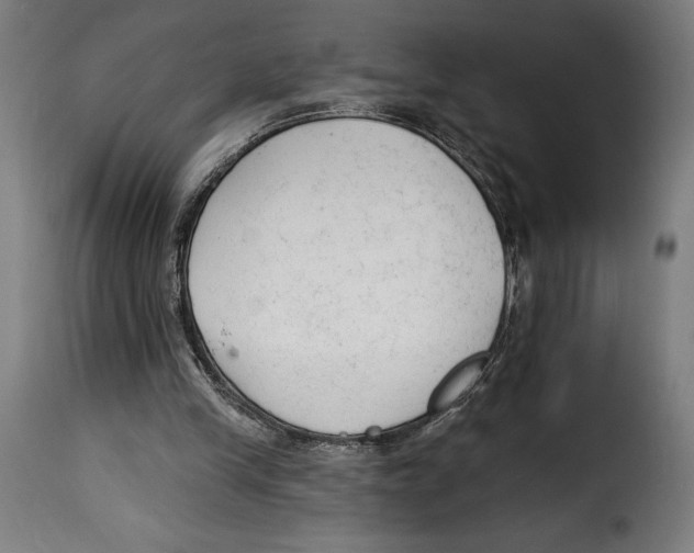 X0000114990245200911231148