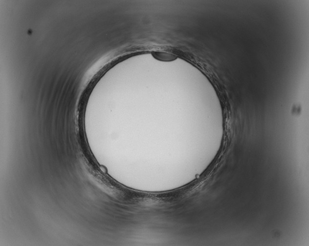 X0000114990246200911231148