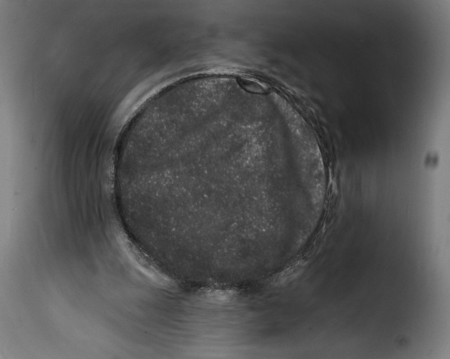 X0000114990247200911231148