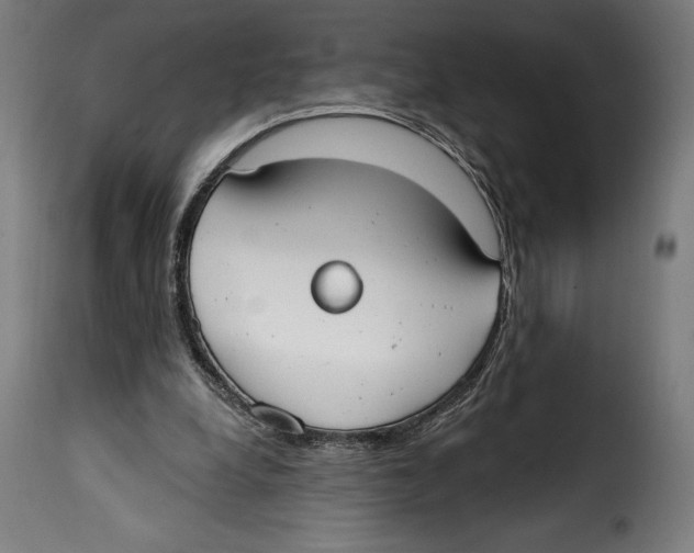 X0000114990248200911231148