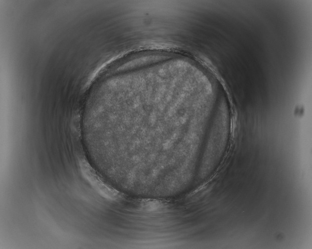 X0000114990249200911231148