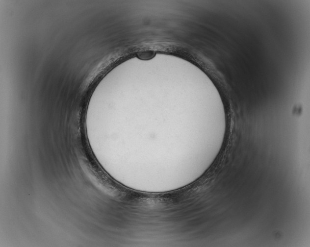 X0000114990250200911231148