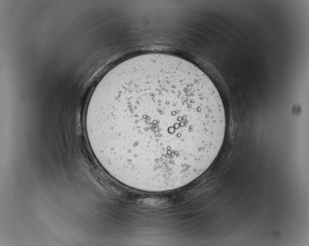 X0000114990251200911231148