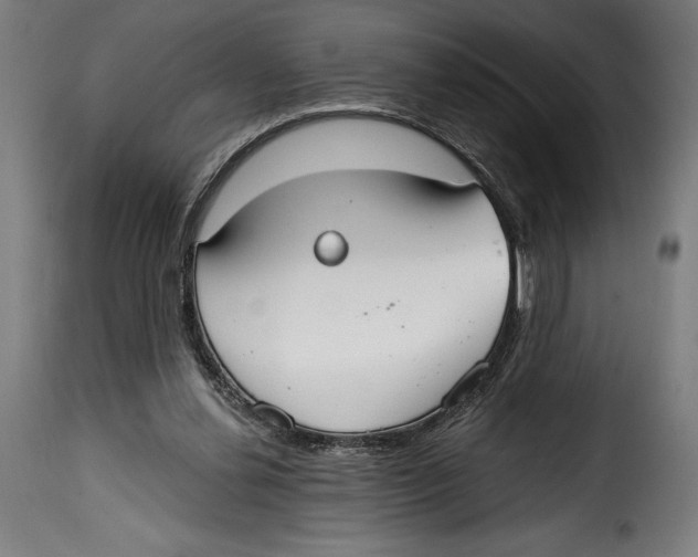 X0000114990252200911231148