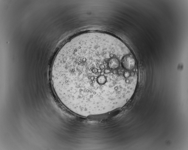 X0000114990253200911231148