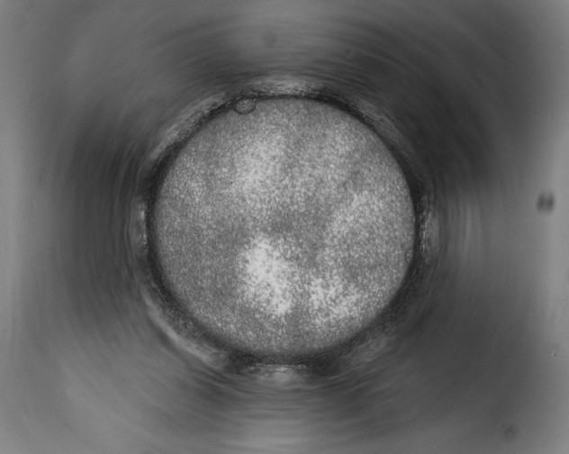 X0000114990254200911231148