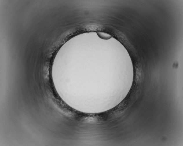 X0000114990259200911231148