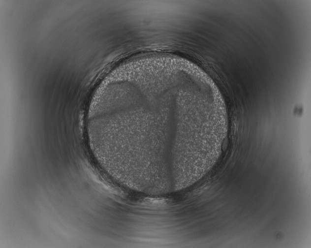 X0000114990260200911231148