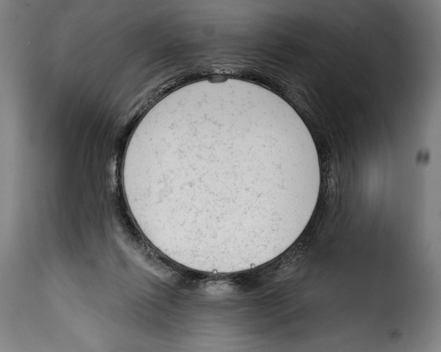 X0000114990262200911231148