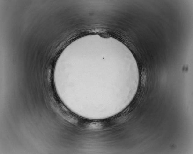 X0000114990263200911231148