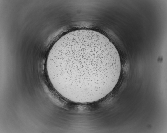 X0000114990264200911231148