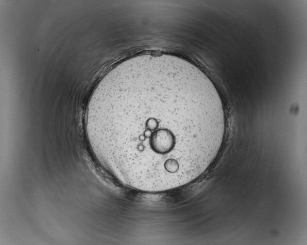 X0000114990265200911231148