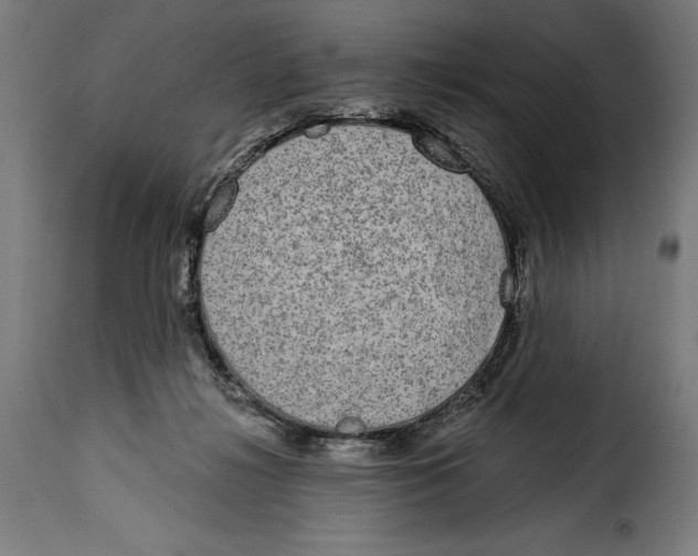 X0000114990268200911231148