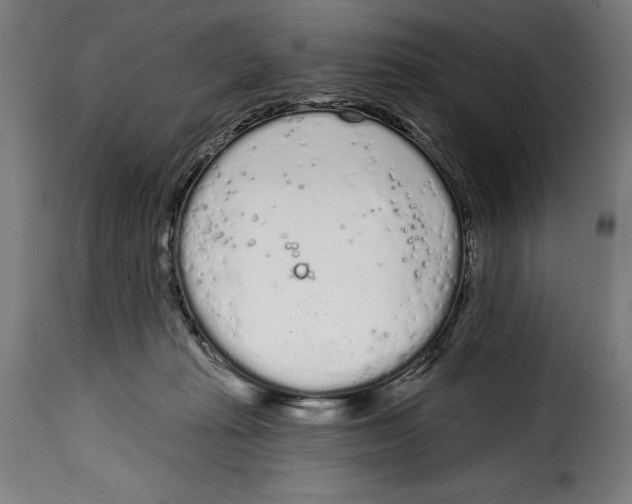 X0000114990269200911231148