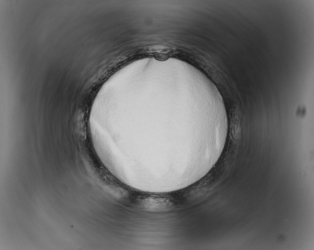 X0000114990270200911231148