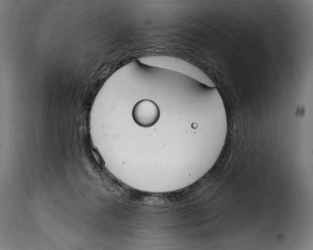 X0000114990272200911231148