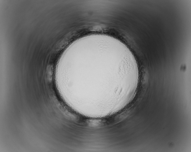 X0000114990273200911231148