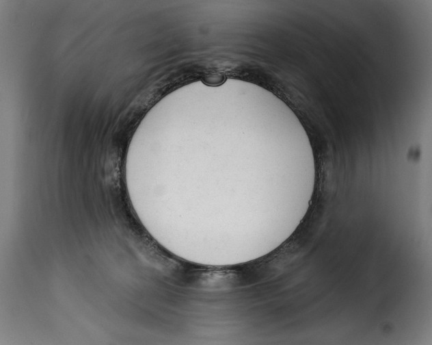 X0000114990274200911231148