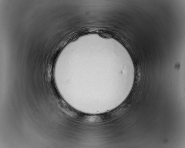 X0000114990275200911231148