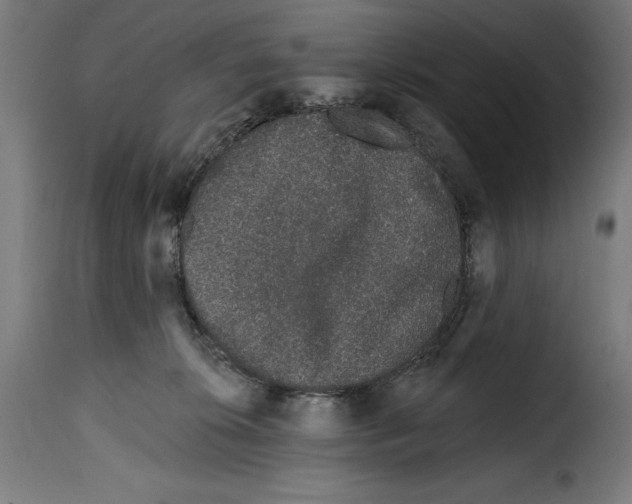 X0000114990276200911231148