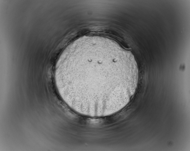 X0000114990277200911231148