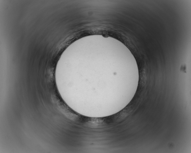 X0000114990278200911231148