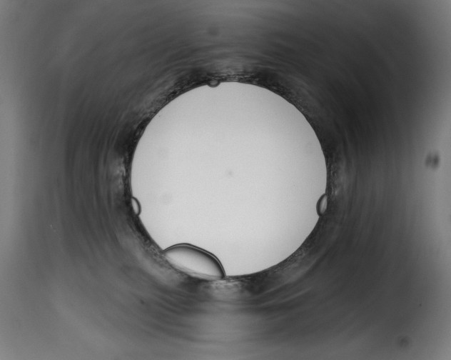 X0000114990279200911231148