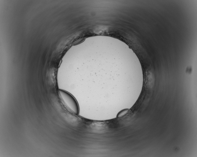 X0000114990280200911231148