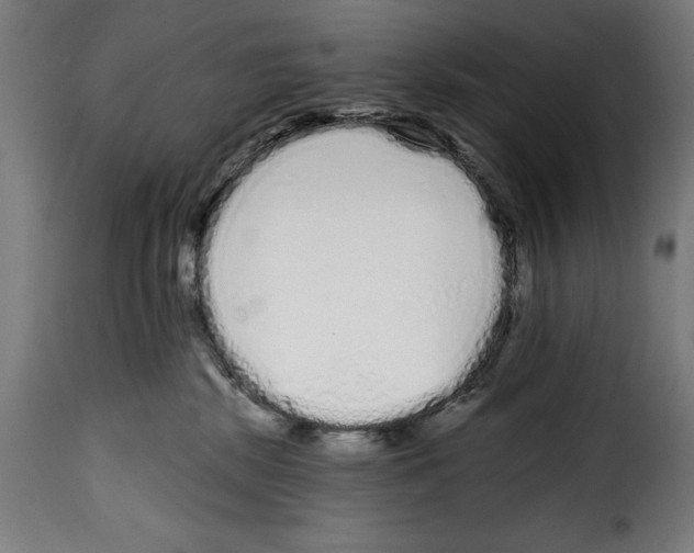 X0000114990281200911231148