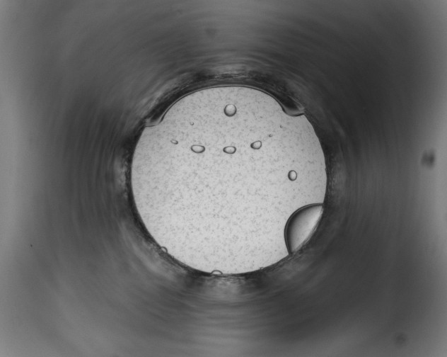 X0000114990282200911231148