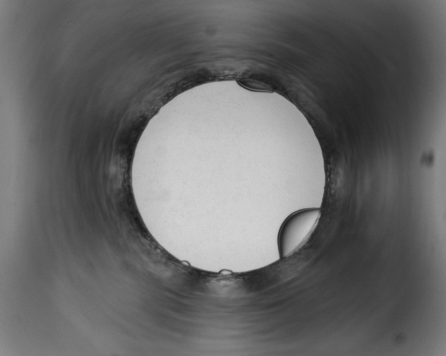 X0000114990283200911231148