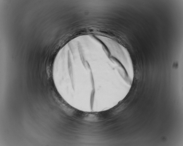 X0000114990285200911231148