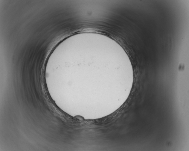 X0000114990289200911231148