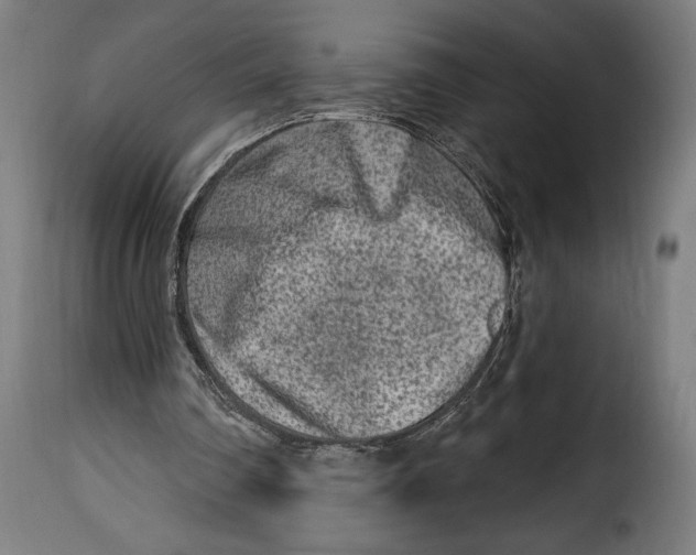 X0000114990290200911231148