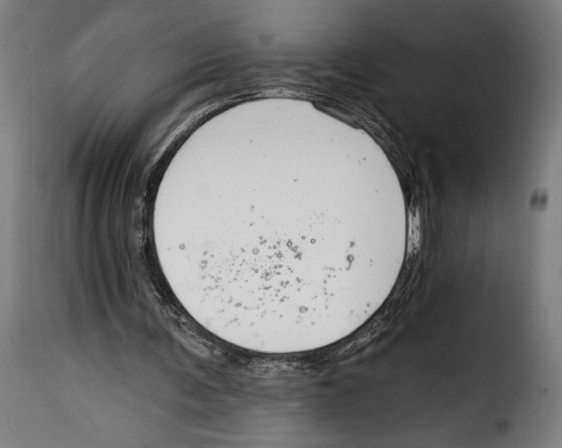 X0000114990291200911231148