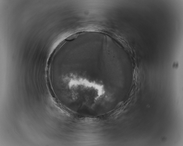 X0000114990292200911231148