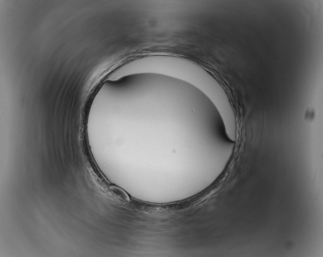 X0000114990293200911231148