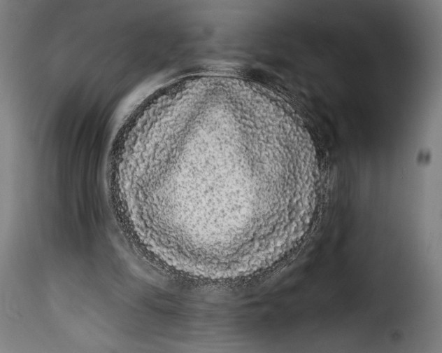 X0000114990294200911231147