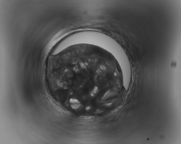 X0000114990295200911231147