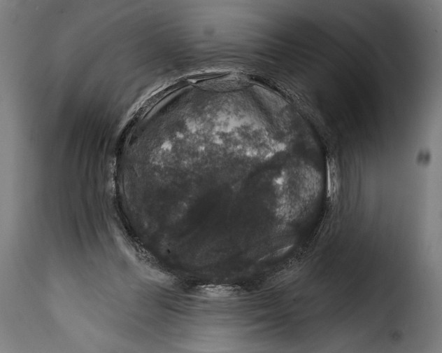 X0000114990300200911231147