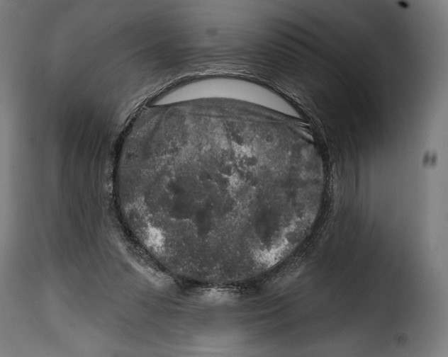 X0000114990303200911231147