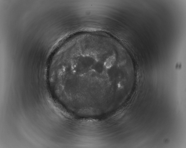 X0000114990304200911231147