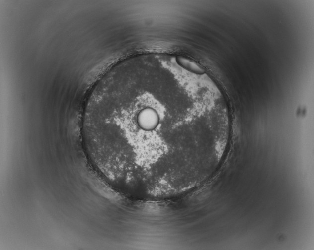 X0000114990305200911231147