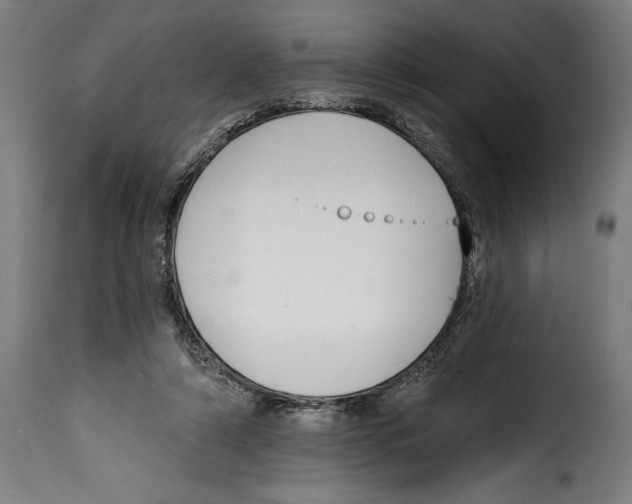 X0000114990306200911231147