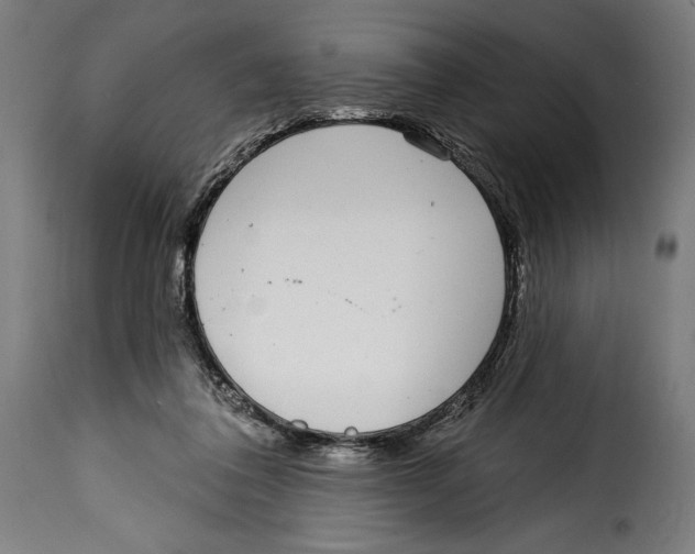 X0000114990308200911231147